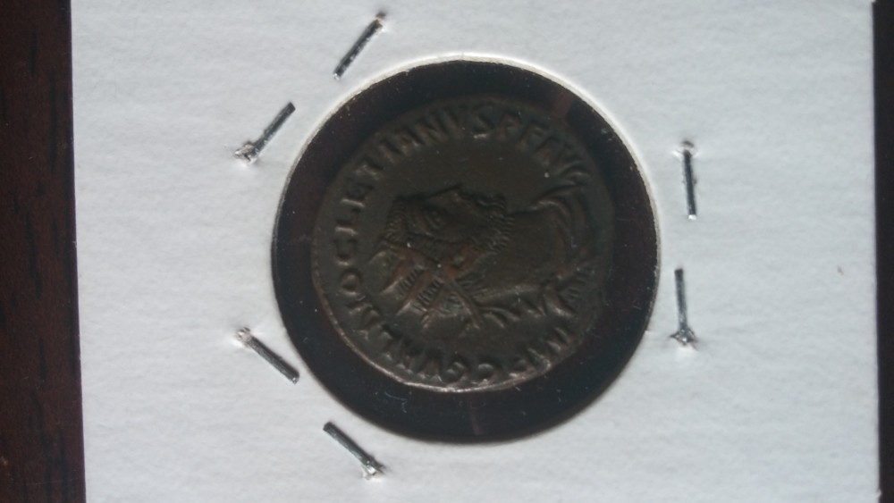 Looking-For-ID-Please